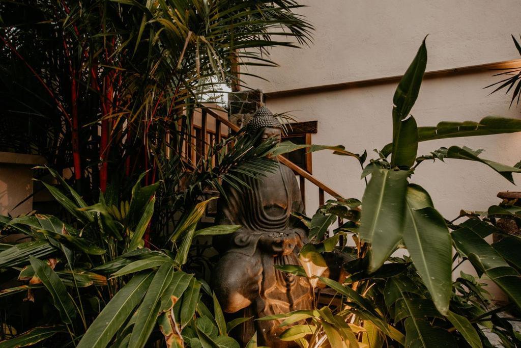 Sansara Surf Yoga & Resort Cambutal Eksteriør billede