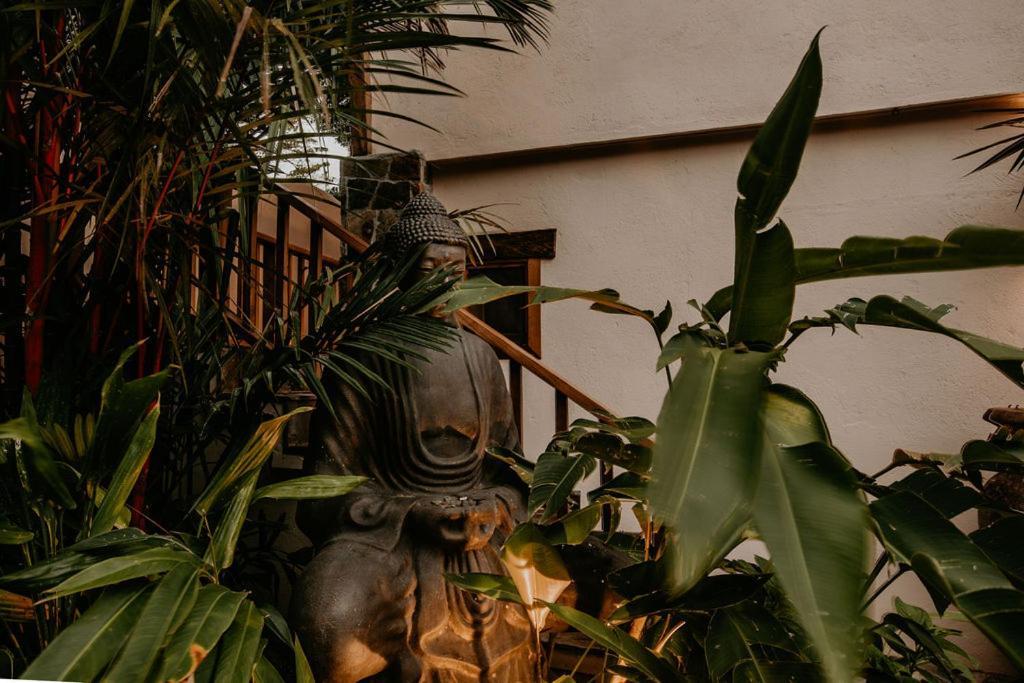 Sansara Surf Yoga & Resort Cambutal Eksteriør billede